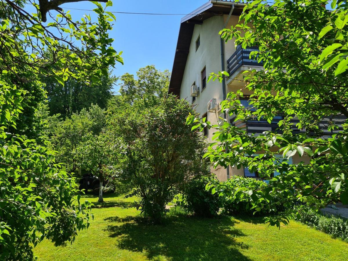 Apartment Happy Sparrow Karlovac