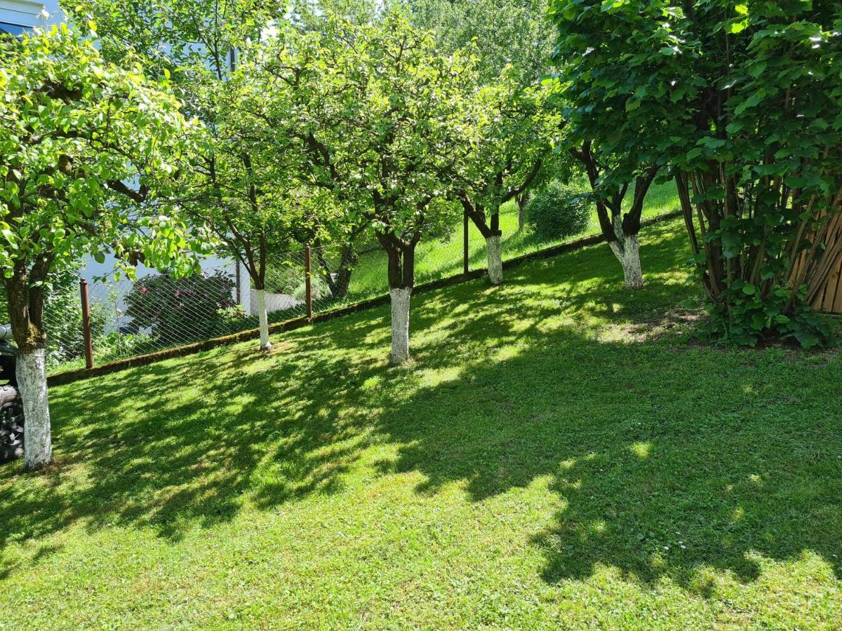 Apartment Happy Sparrow Karlovac