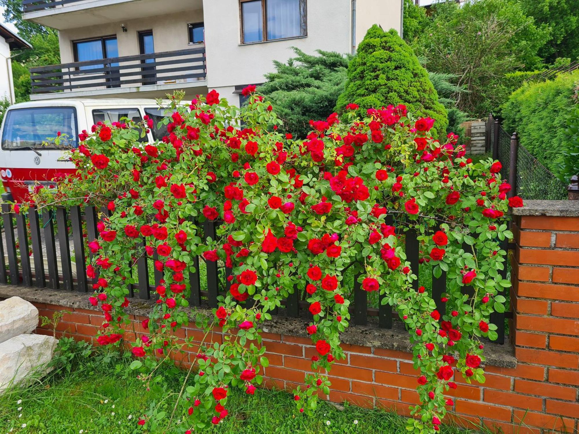 Happy Sparrow Apartment Karlovac