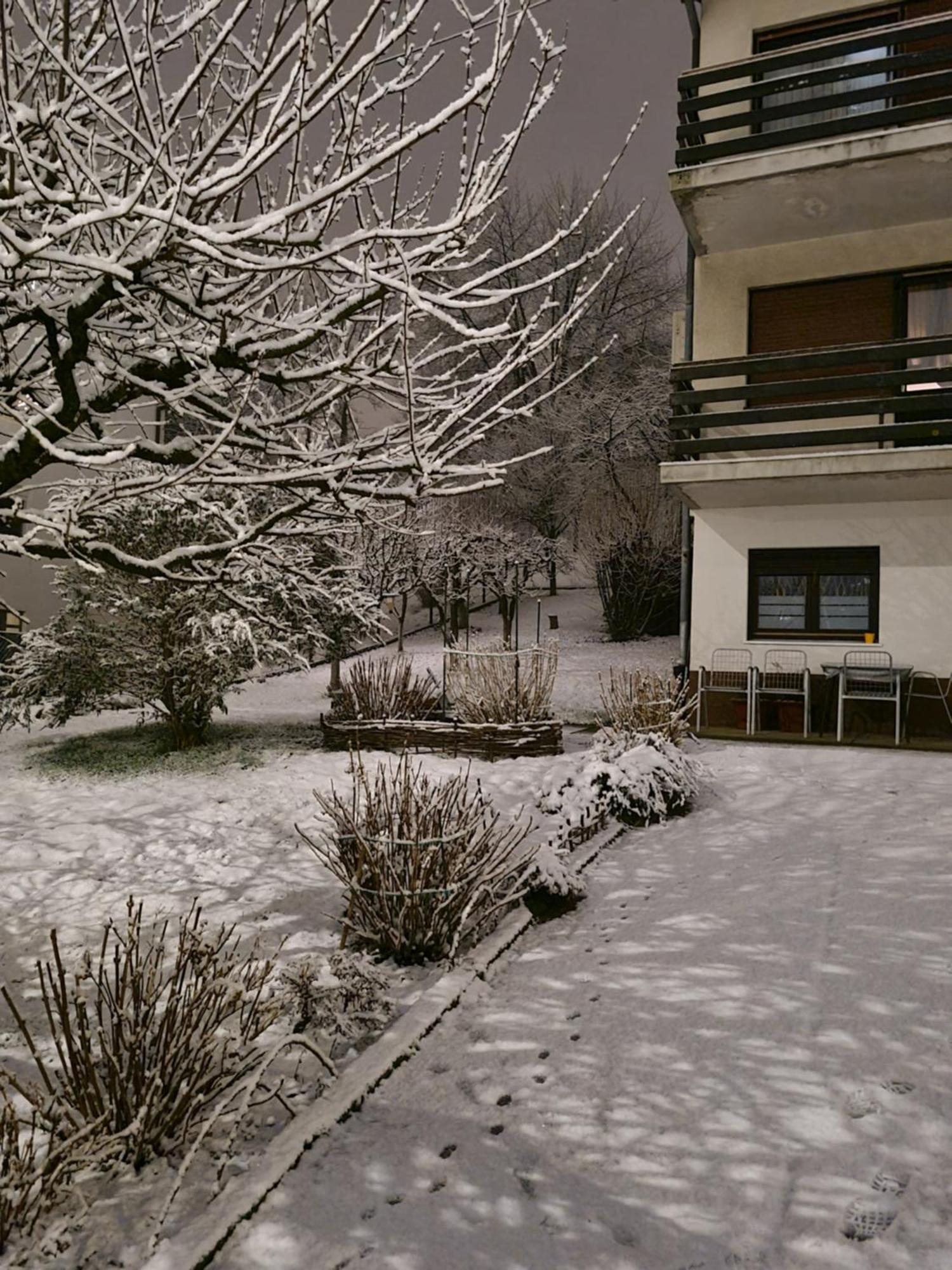 Happy Sparrow Apartment Karlovac